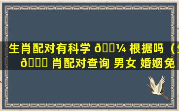 生肖配对有科学 🐼 根据吗（生 🐎 肖配对查询 男女 婚姻免费）